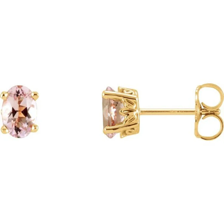 small stud earrings for women-14K Yellow Natural Pink Morganite Earrings